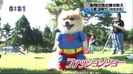 いのちの花　殺処分ゼロ・プロジェクト