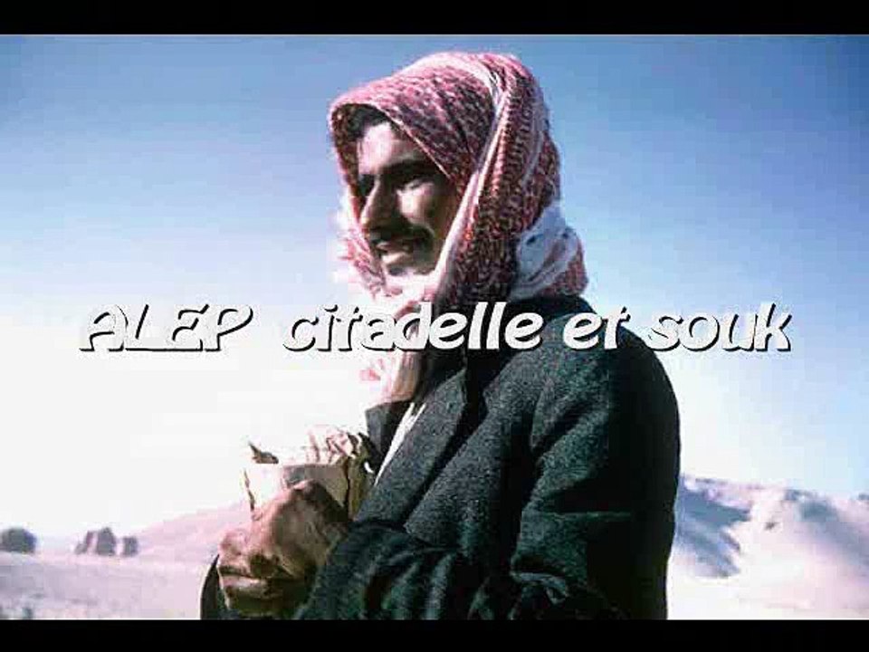 Syrie la citadelle et souks de le ville d'Alep
