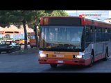 TGSRVago 28 amtab 12 nuovi bus a metano