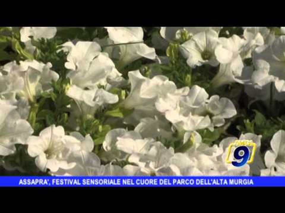 Assaprà, festival sensoriale nel cuore del Parco dell'Alta Murgia