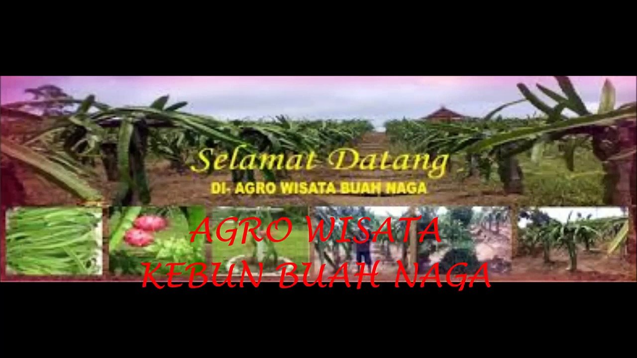 0813 7204 6788 (TELKOMSEL),agen tour di batam,MUTIARA BATAM TOUR AND TRAVEL
