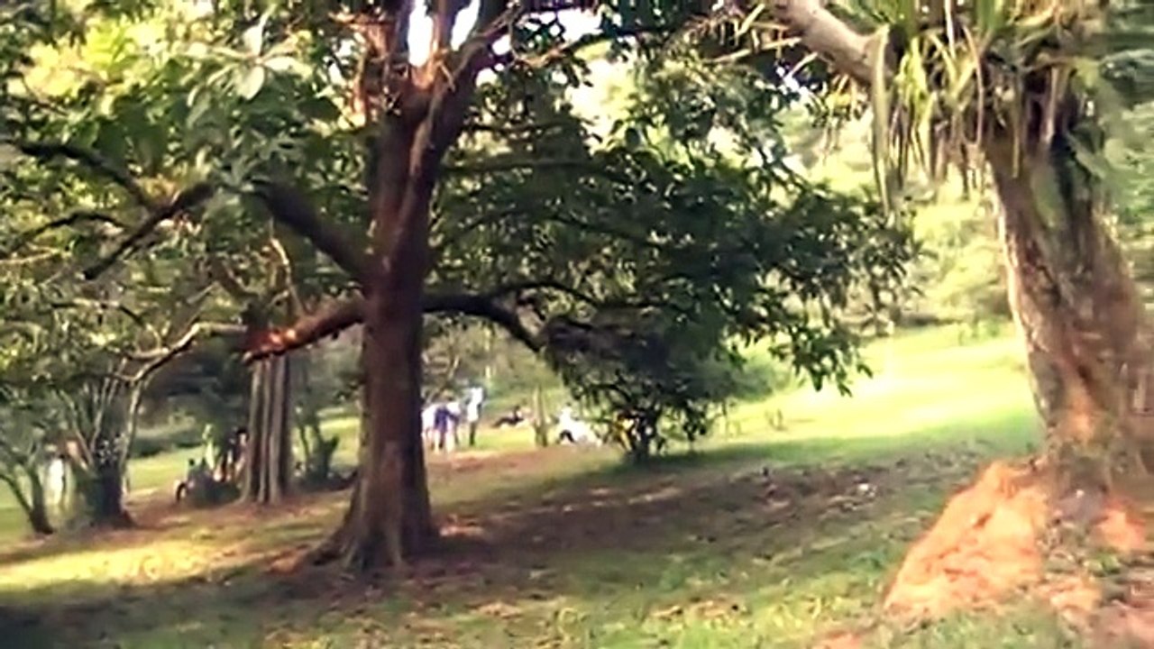 Ghana in the Aburi Gardens