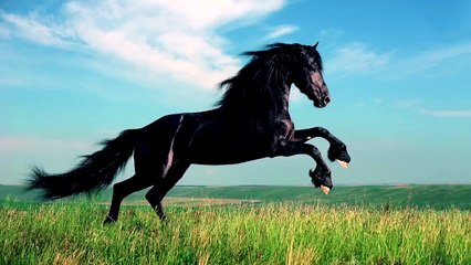 10 ФАКТОВ ОБ АВТОМОБИЛЯХ – ЭТОГО НЕ ЗНАЮТ ДАЖЕ ОПЫТНЫЕ ВОДИТЕЛИ!