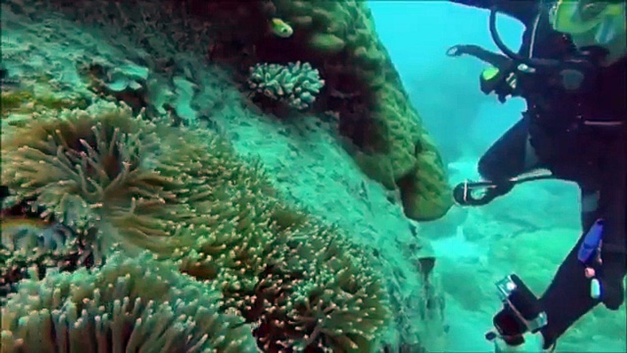 Great Barrier Reef I Australia I GoPro Hero 3+