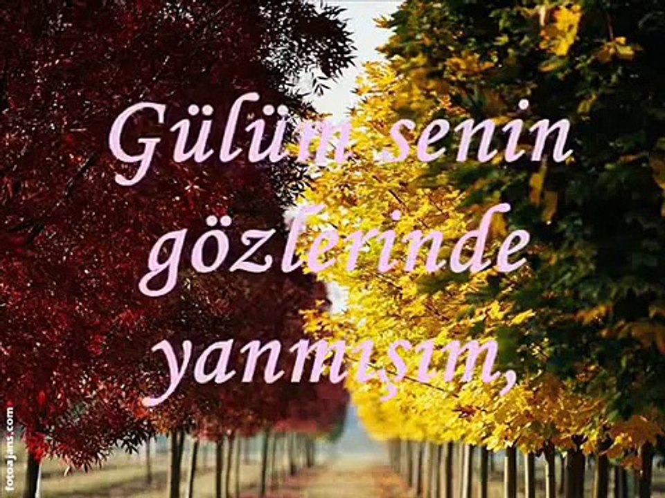 Ali Ekber Eren - Aklımı gözlerine takmışım...