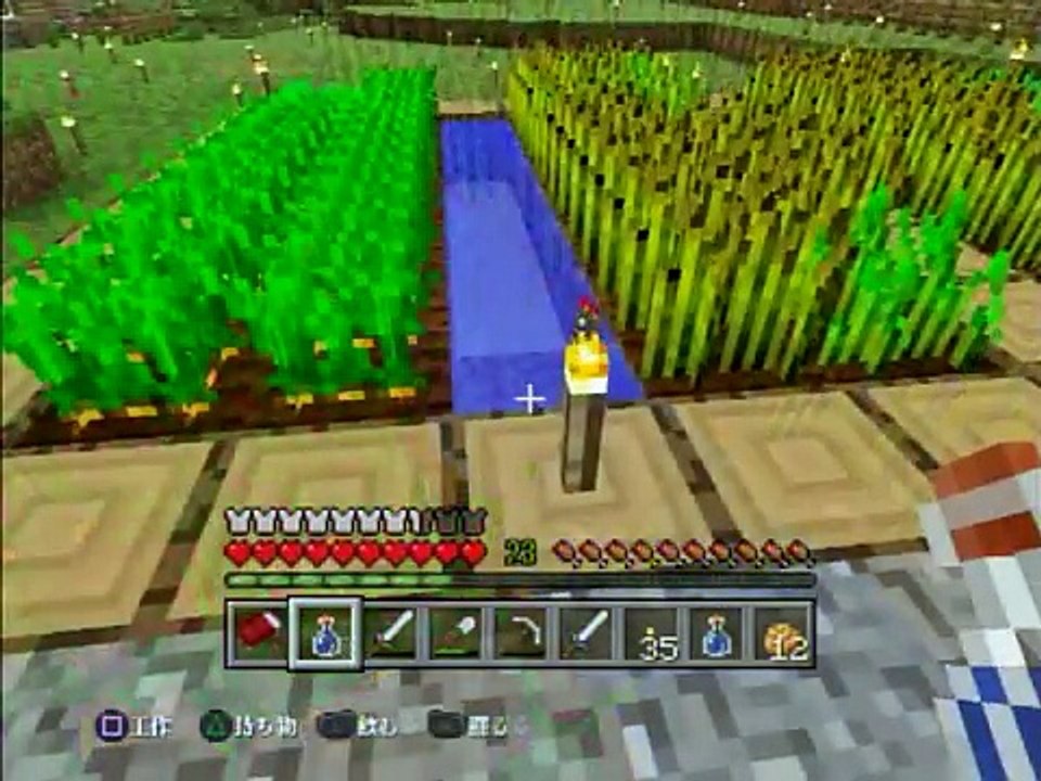 【PS3版マインクラフト】 たまじろうとマイクラ ポーションで遊んでみた！ part10