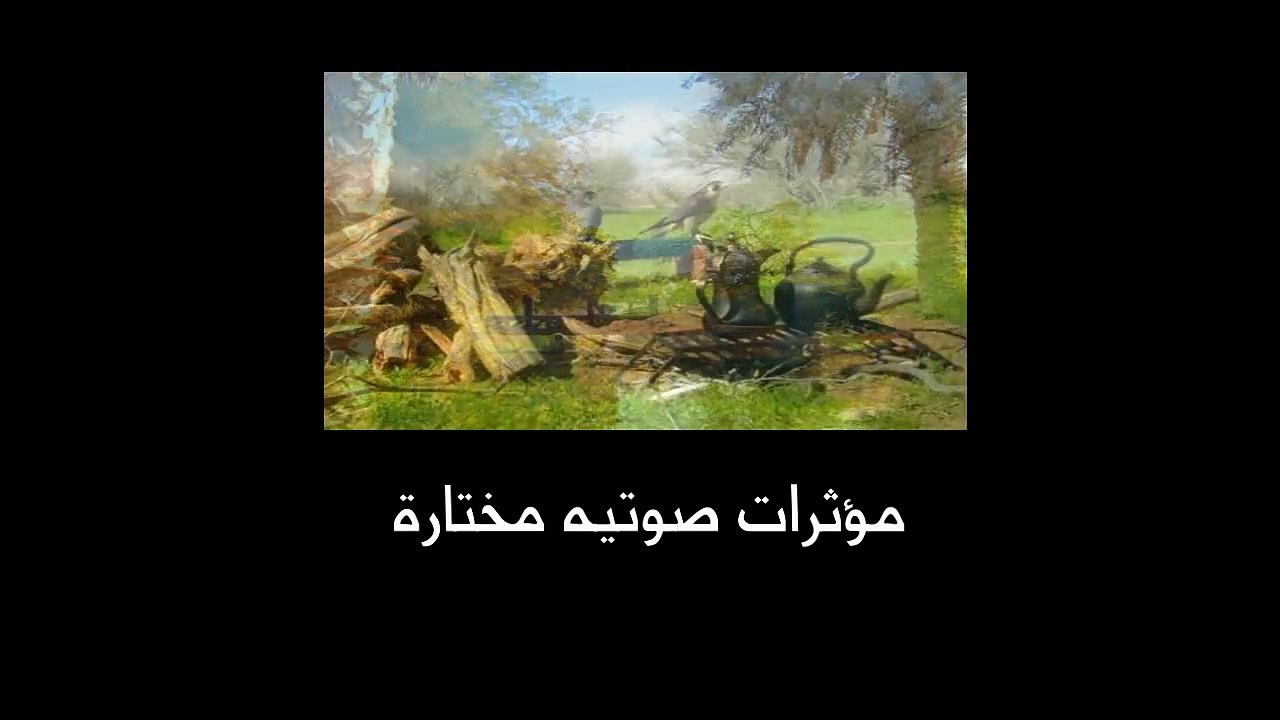 مؤثرات صوتيه مختارة