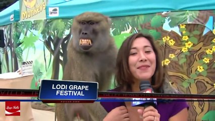 Funny videos that make you laugh so hard you cry - Justforfun Part 2 HD