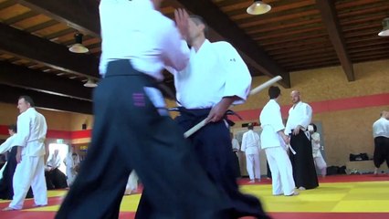 The Aikido Notebooks with Michel Erb Sensei Part 18 Kaeshi Waza