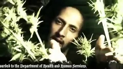 Julian Marley - Boom Draw (Music Video)