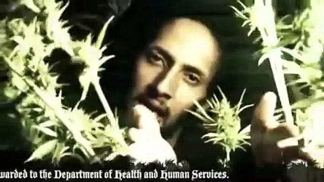 Julian Marley - Boom Draw (Music Video)
