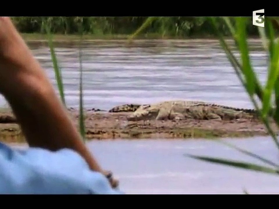 The Monster Gustave Giant Crocodile - Vidéo Dailymotion