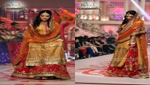 Armeena Rana Khan in Bridal Couture Week 2015