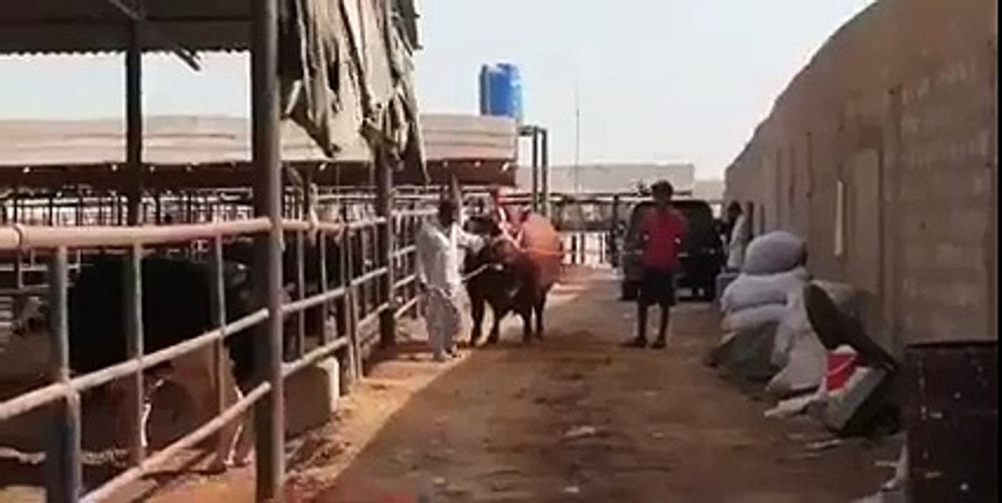10 lakh ka bail