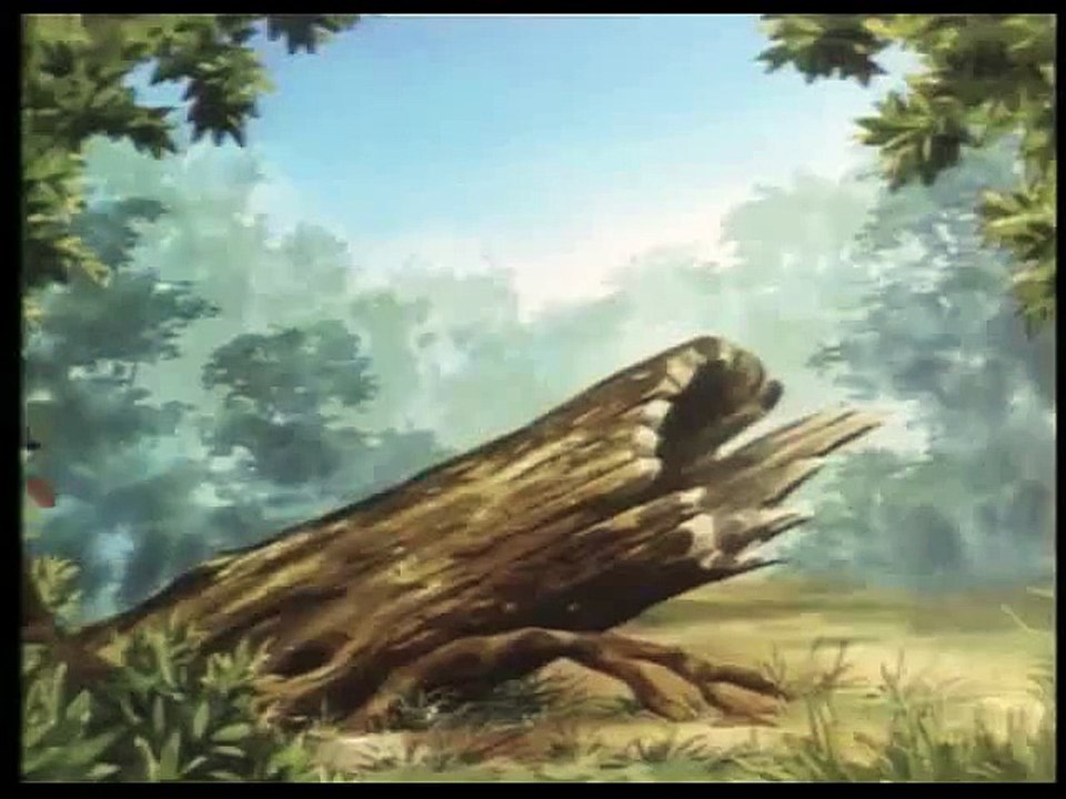 Les Animaux du Bois de Quat'sous