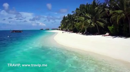 Inside incredible underwater restaurant Ithaa in the Maldives
