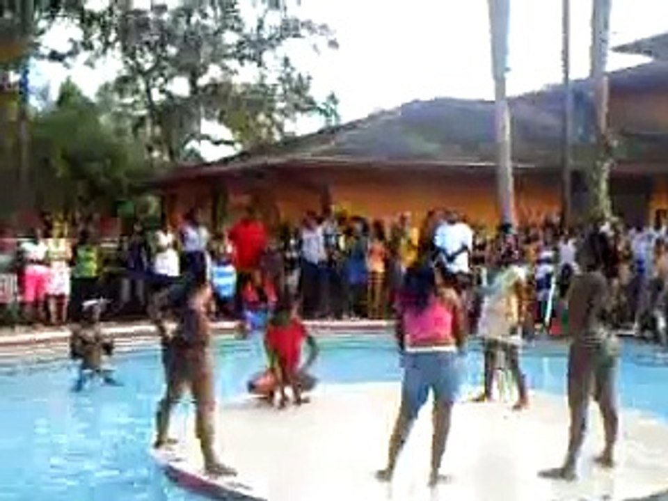 USF POOL PARTY