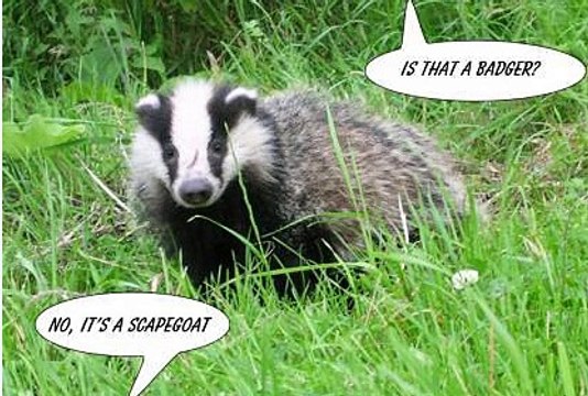 BBC Radio 4 - Farming Today 28Aug15 on the badger cull