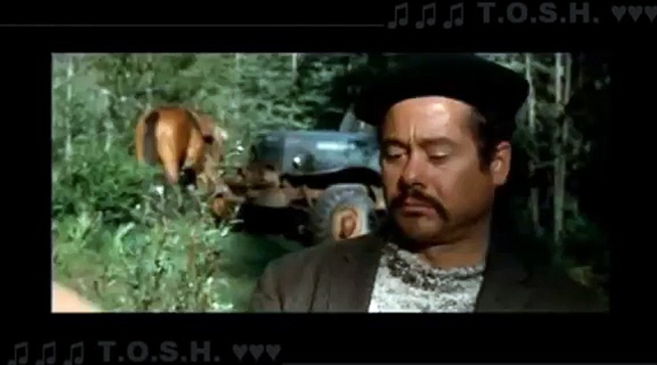 Secreto de la Montaña / Brokeback Mountain