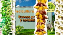 Escuela de Campo: Buenas prácticas y normatividad aplicada a la piscicultura - 9 de octubre