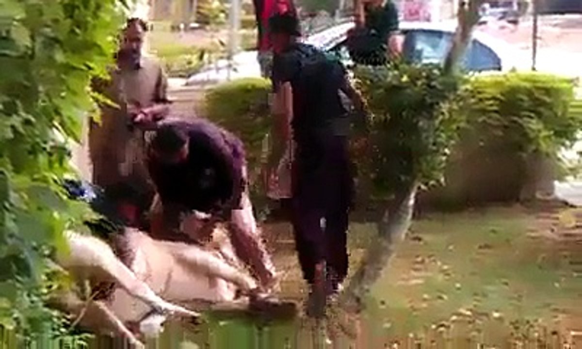 Anaari Qasai -- Qurbani Eid ul azha -- HD ✔ - Video Dailymotion 2015