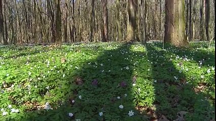 جب آپ تنگ دستی سے مایوس هو جاتے ہیں