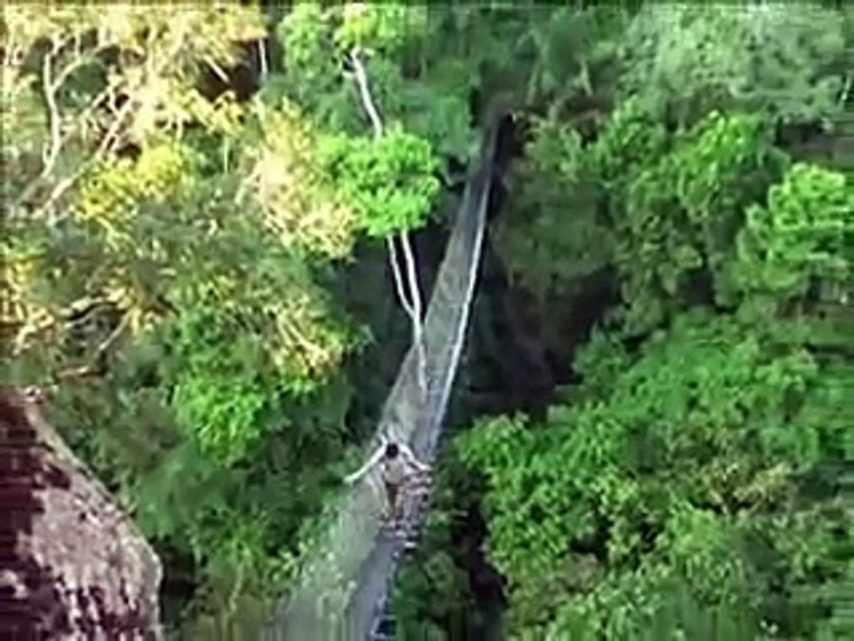 Projects Abroad : Mission d'écovolontariat dans la jungle