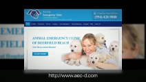 Need an Emergency Animal Hospital? Animal Emergency Clinic of Deerfield Can Help!