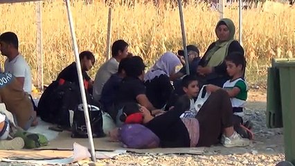 Sur la route des migrants