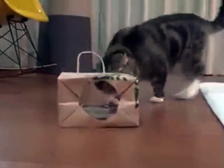 (1)Look at my pretty dress...k