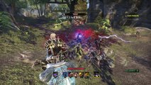 ESO: The Elder Scrolls Online: Tamriel Unlimited real mob grinding rank up fast
