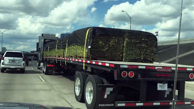 Grass Selling New Business Idea