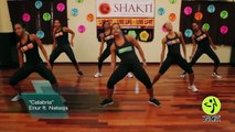 Zumba Fitness Class - Latin Dance Aerobic Workout - CALABRIA