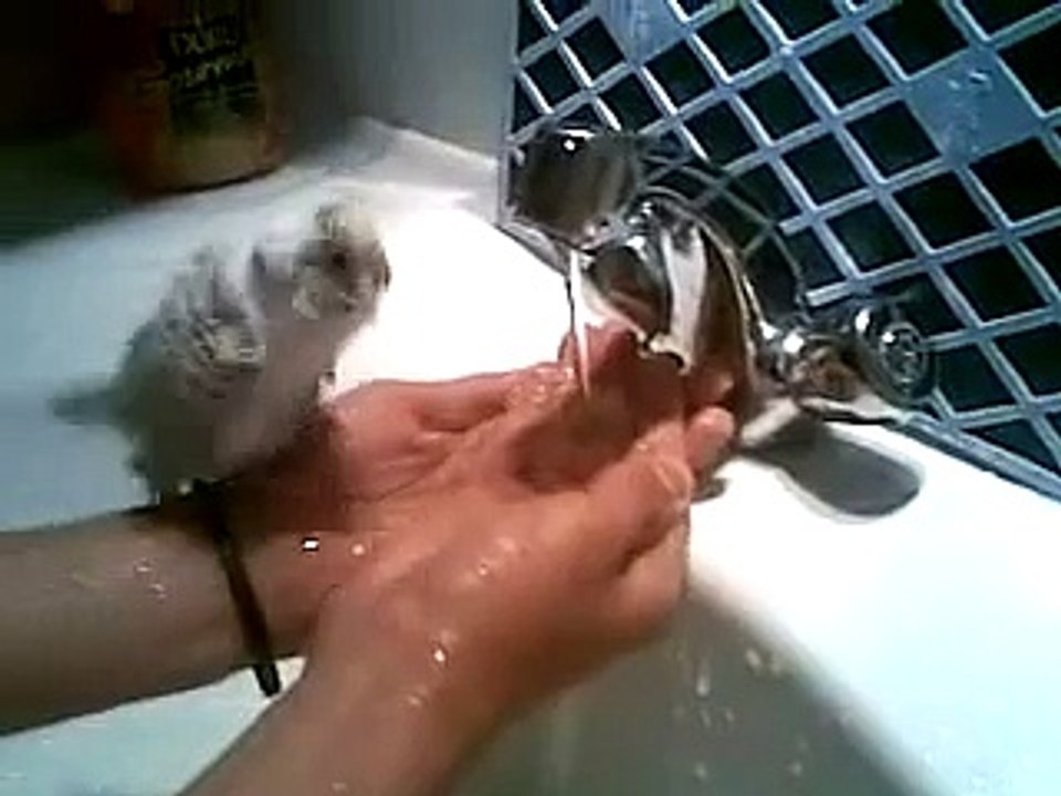 keçiören esertepe kombi srv..0312-279 15 16...beretta