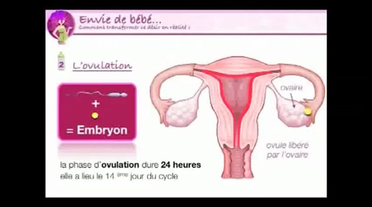 Labiaplasty Surgeons  Cosmetic Vaginal Surgery  Vaginoplasty