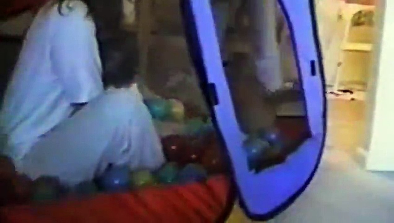 Compilation de fails d'animaux 1