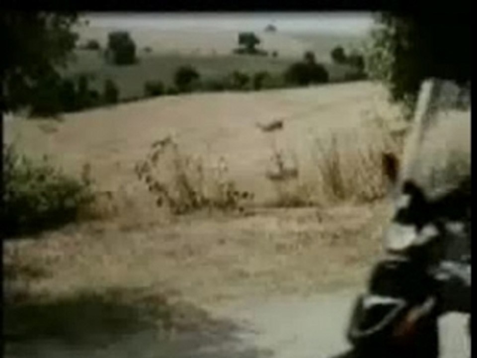 Tapas l heure - Humour, Comi,