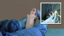 Rat Oral Gavage Training