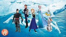 Frozen Cartoon Songs Finger Family Nursery Rhymes | Frozen Nursery Rhymes with Lyrics