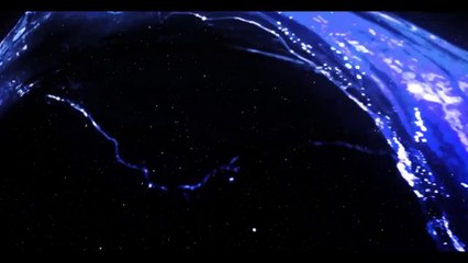 24 Hour Emergency Roofer Sacramento CA Call (916)604-9108