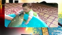 GeoDost Amazing Video Fish Playing with Little Baby