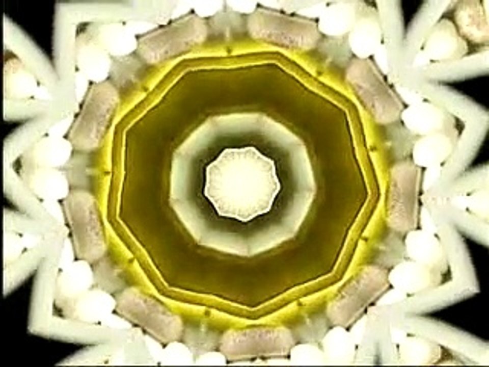 BBC Horizon Human v2 - Neuroscience Experiments