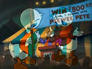 Donald Duck Canvas Back Duck (Full Episodes)