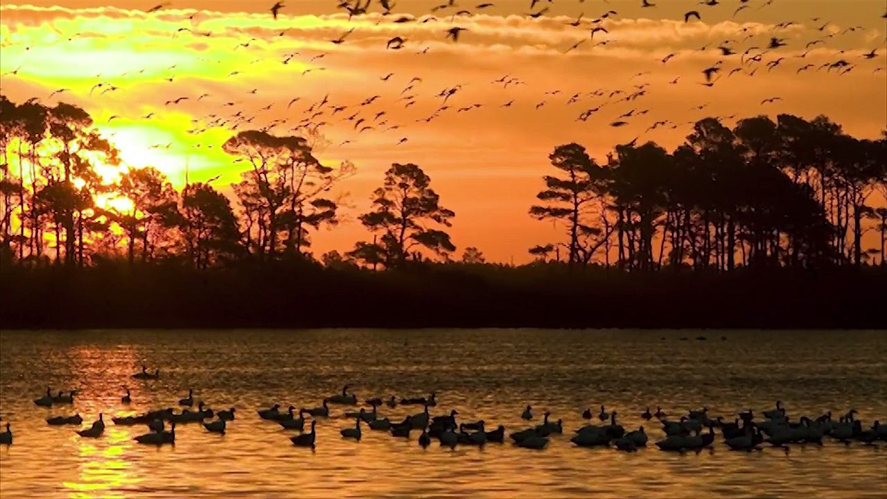 MUSICA INSTRUMENTAL 2015 - Música Romantica Instrumental - Baladas Romanticas (Music 2015)