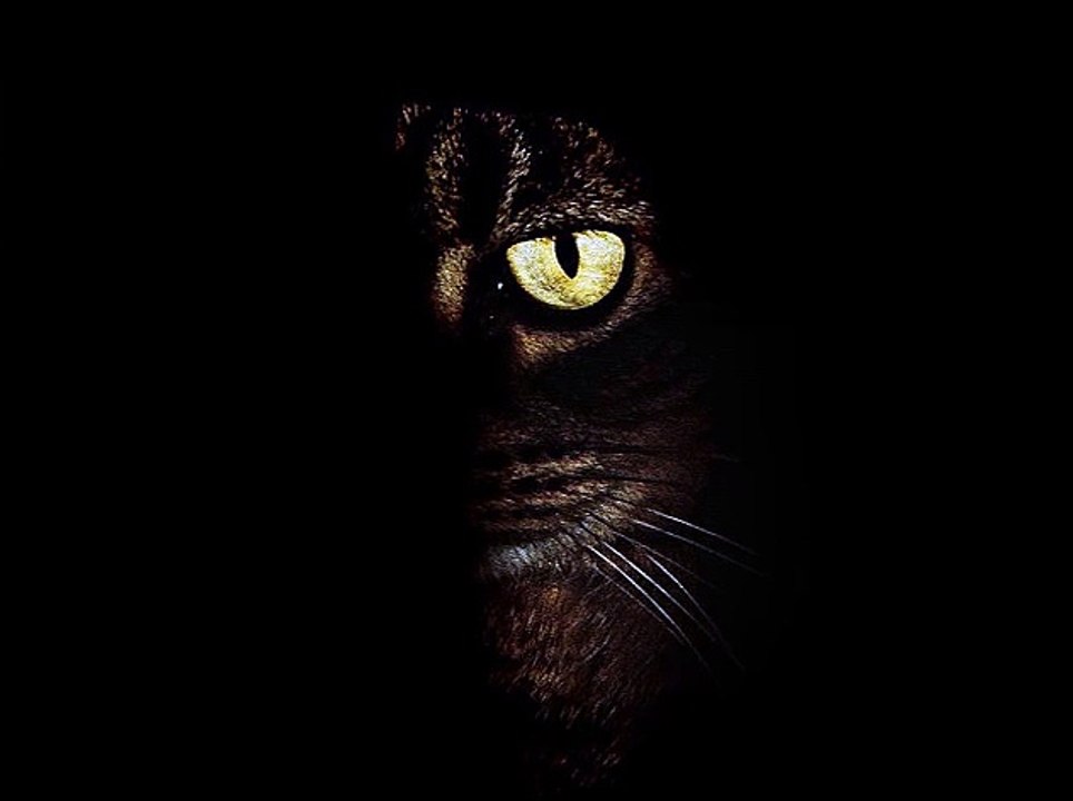 Photograph - Ed Sheeran (Mo Ali Acoustic Cover)