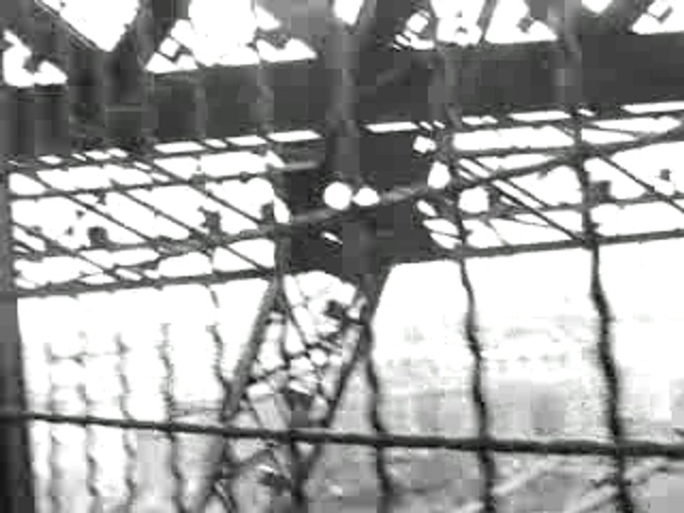 montée des marches2