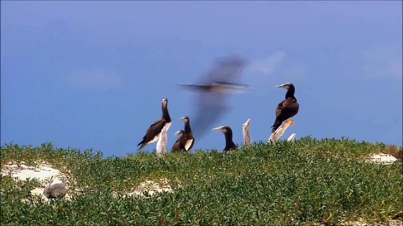 The New Discovery Channel