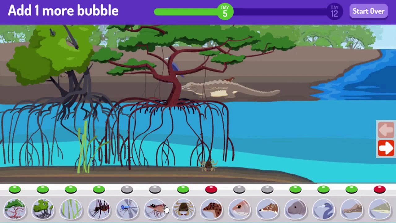 Plum Landing Make A Mangrove Cartoon Animation PBS Kids Game Play Walkthrough