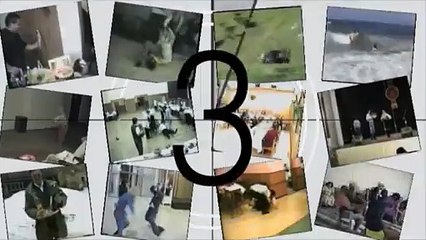 Funny Animals - Funny Dog plays TAKEDOWN