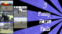 Funny Animals - Funniest HORSE Riding Falls